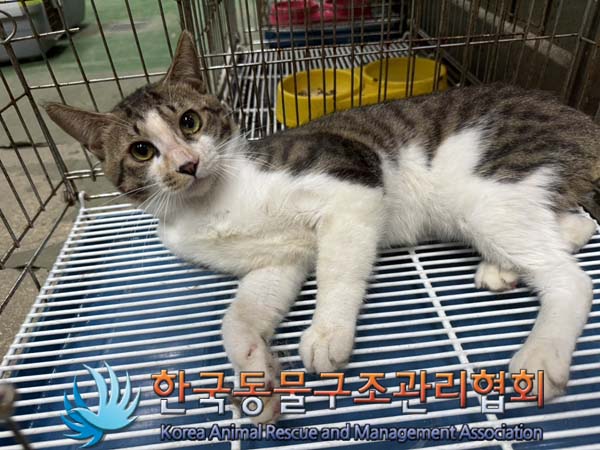 종료(자연사) 한국…